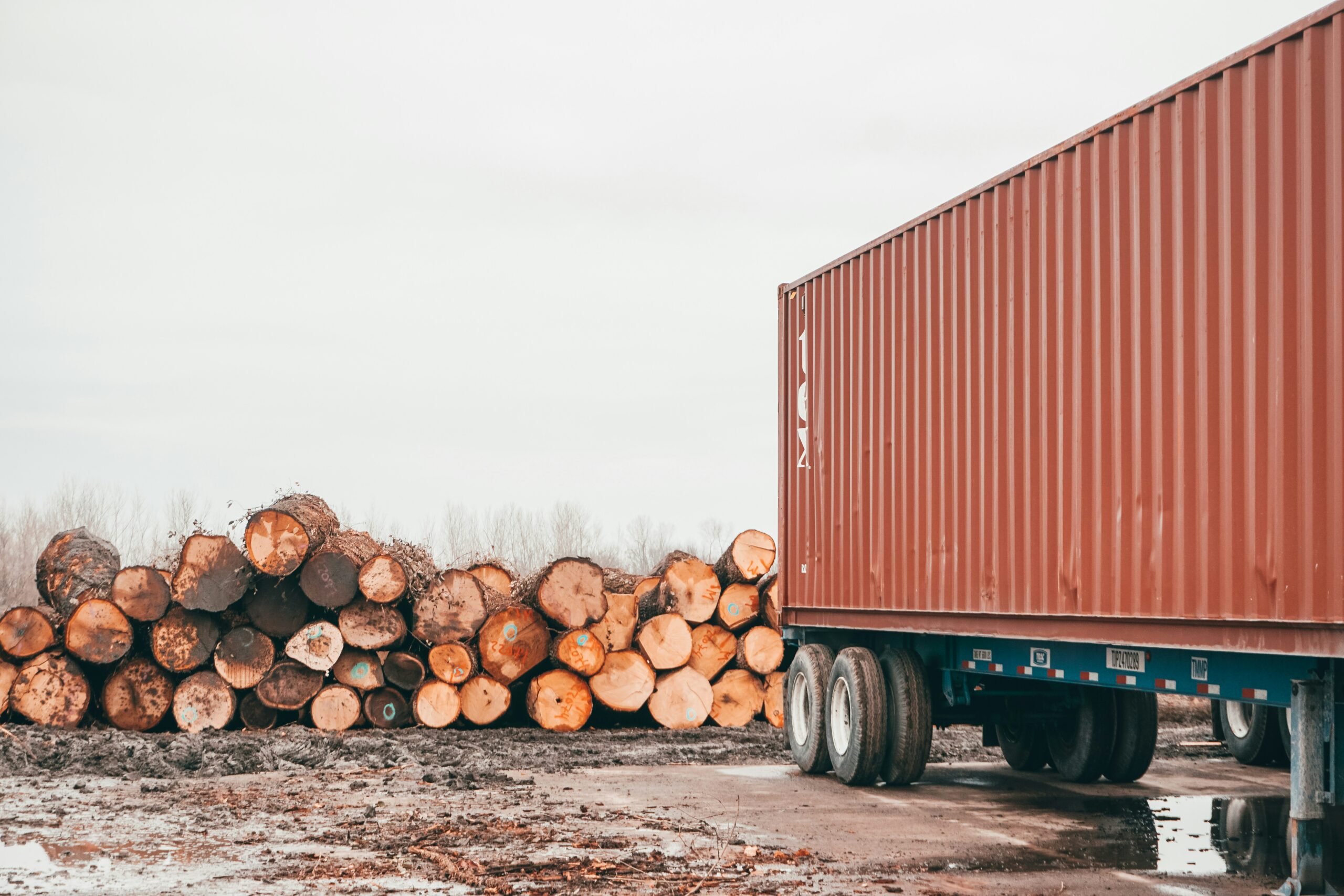 a semi truck hauling a large load of logs